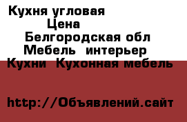 Кухня угловая (1400*2750) › Цена ­ 20 000 - Белгородская обл. Мебель, интерьер » Кухни. Кухонная мебель   